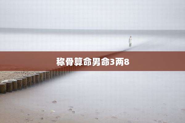 称骨算命男命3两8