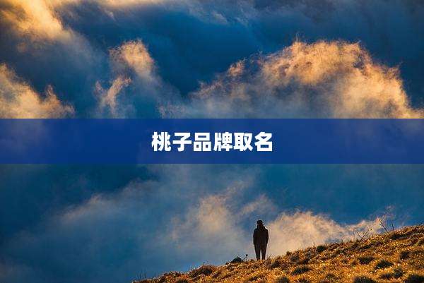 桃子品牌取名