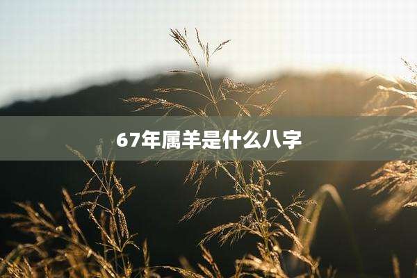 67年属羊是什么八字