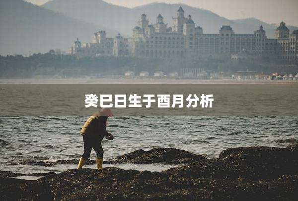 癸巳日生于酉月分析