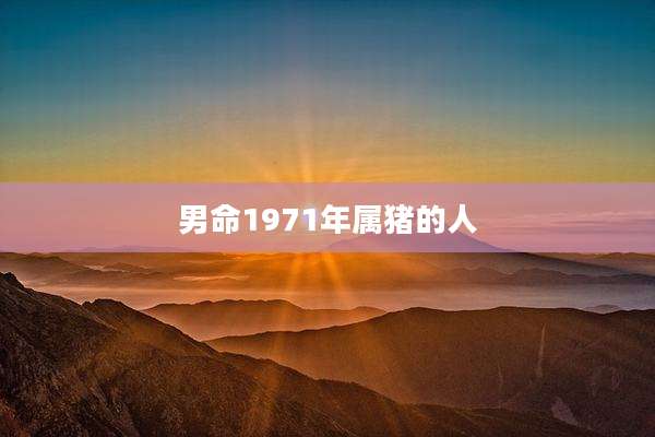 男命1971年属猪的人