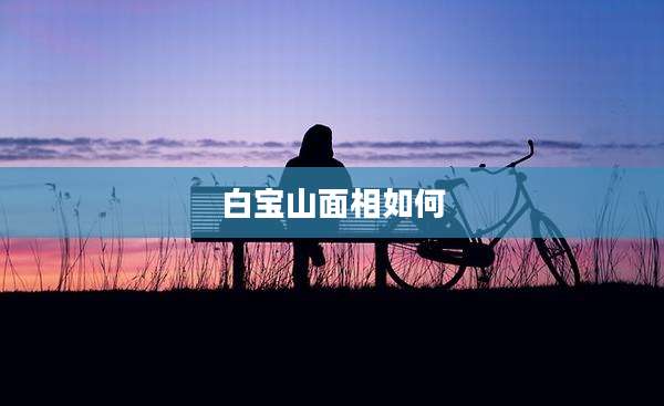 白宝山面相如何