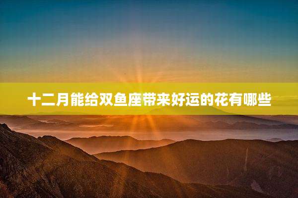 十二月能给双鱼座带来好运的花有哪些