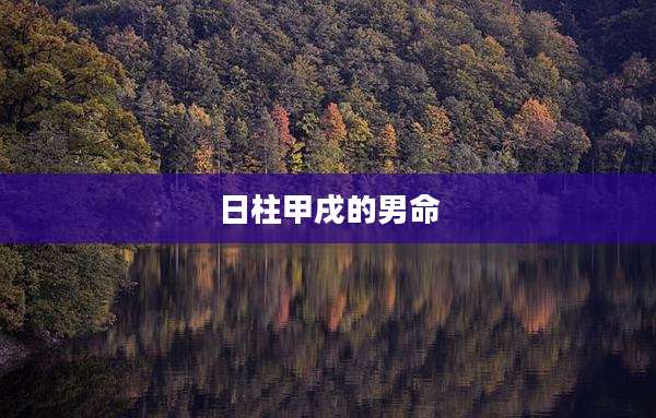 日柱甲戌的男命