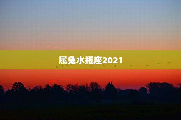 属兔水瓶座2021