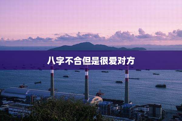 八字不合但是很爱对方