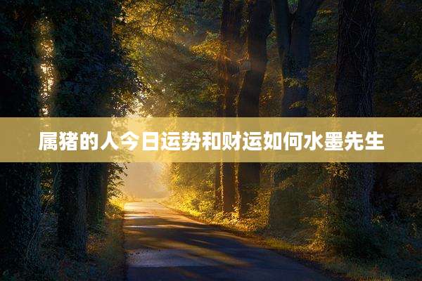 属猪的人今日运势和财运如何水墨先生
