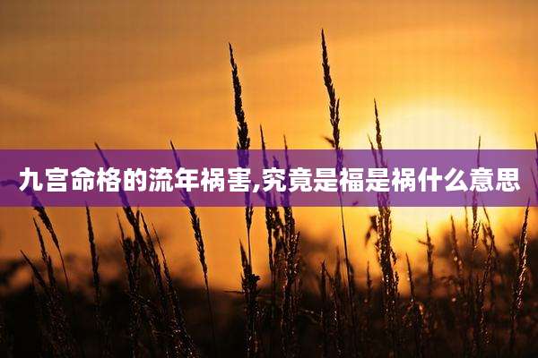 九宫命格的流年祸害,究竟是福是祸什么意思