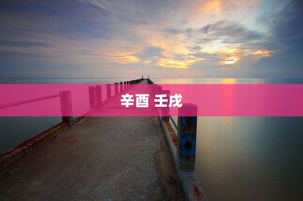 辛酉 壬戌