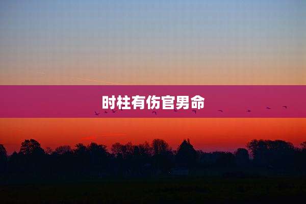 时柱有伤官男命