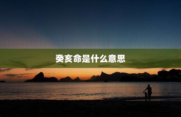 癸亥命是什么意思