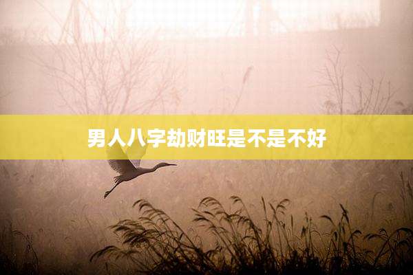男人八字劫财旺是不是不好
