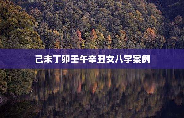 己未丁卯壬午辛丑女八字案例
