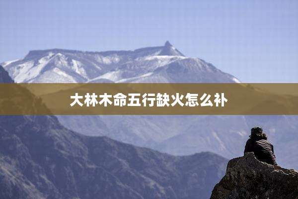 大林木命五行缺火怎么补