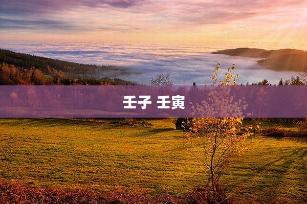 壬子 壬寅