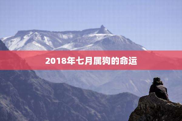 2018年七月属狗的命运
