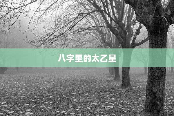 八字里的太乙星