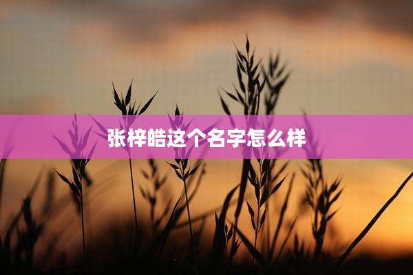 张梓皓这个名字怎么样