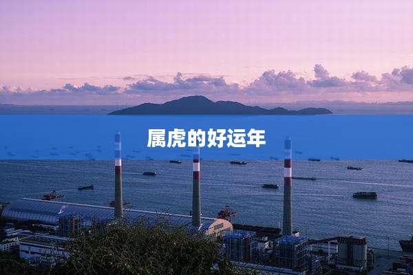 属虎的好运年
