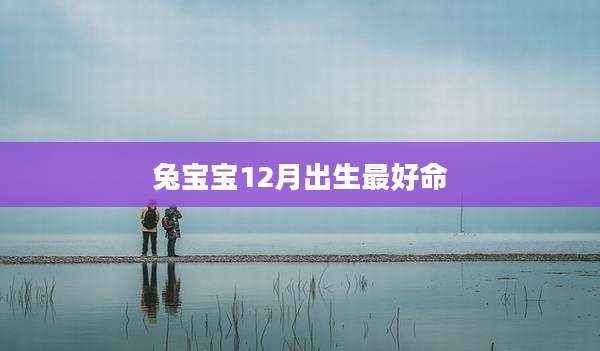 兔宝宝12月出生最好命