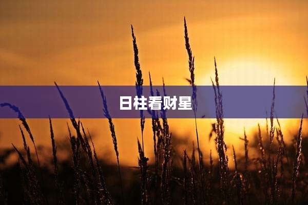 日柱看财星