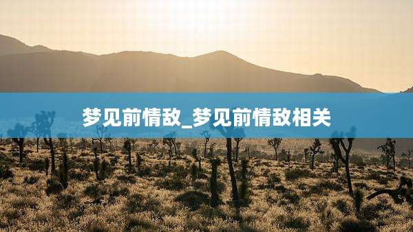 梦见前情敌_梦见前情敌相关