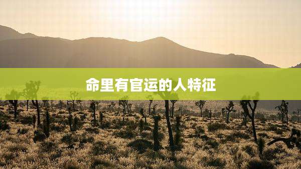 命里有官运的人特征