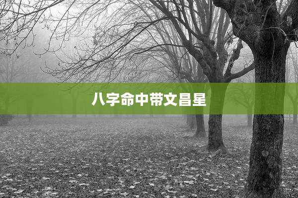 八字命中带文昌星