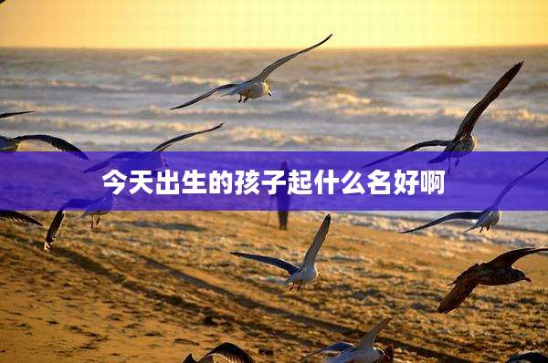 今天出生的孩子起什么名好啊