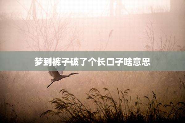 梦到裤子破了个长口子啥意思