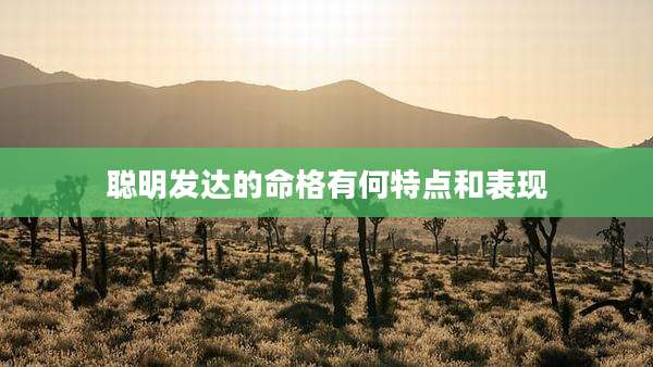 聪明发达的命格有何特点和表现