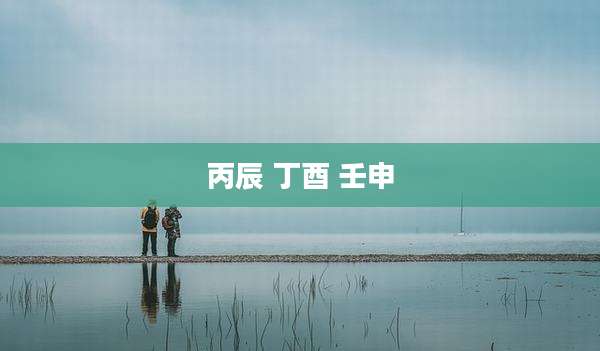 丙辰 丁酉 壬申