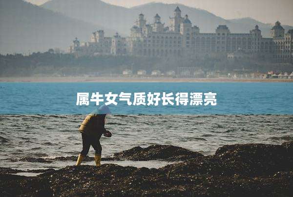 属牛女气质好长得漂亮