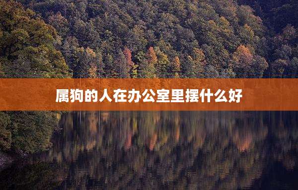 属狗的人在办公室里摆什么好