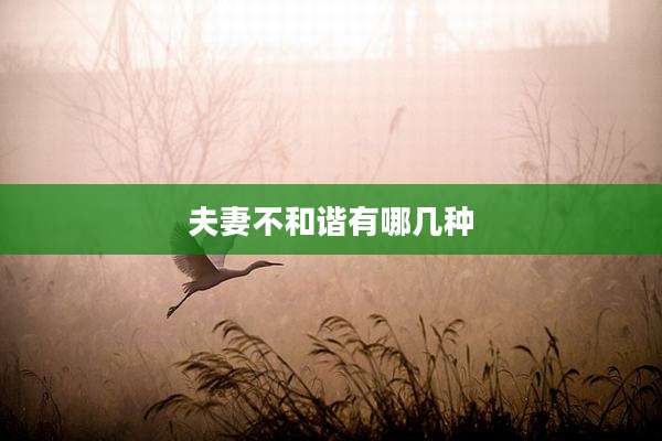 夫妻不和谐有哪几种