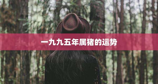 一九九五年属猪的运势