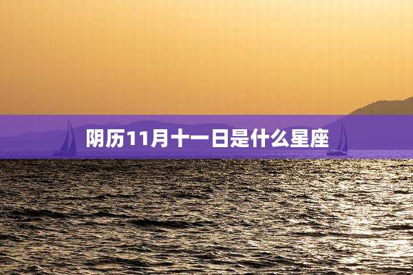 阴历11月十一日是什么星座