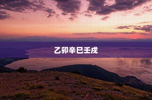 乙卯辛巳壬戌
