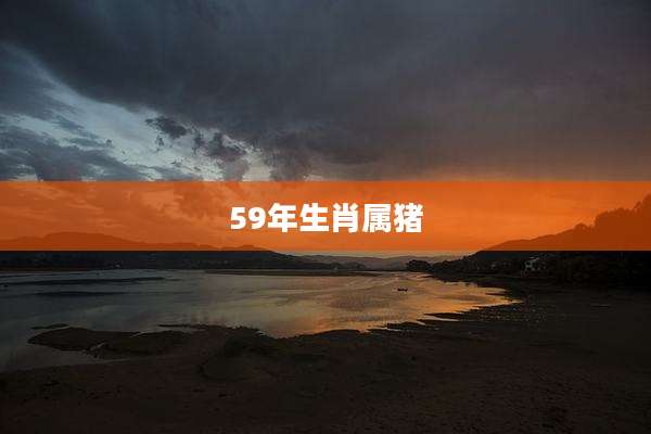 59年生肖属猪
