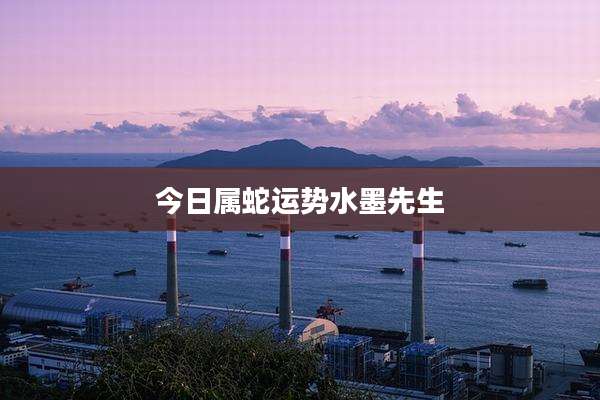 今日属蛇运势水墨先生
