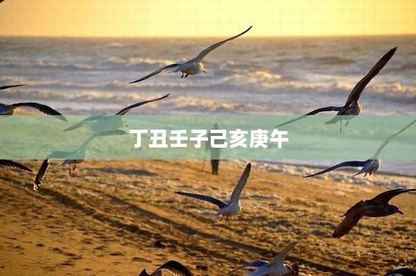 丁丑壬子己亥庚午