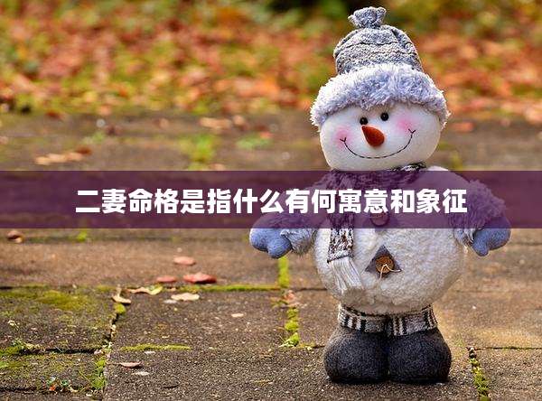 二妻命格是指什么有何寓意和象征