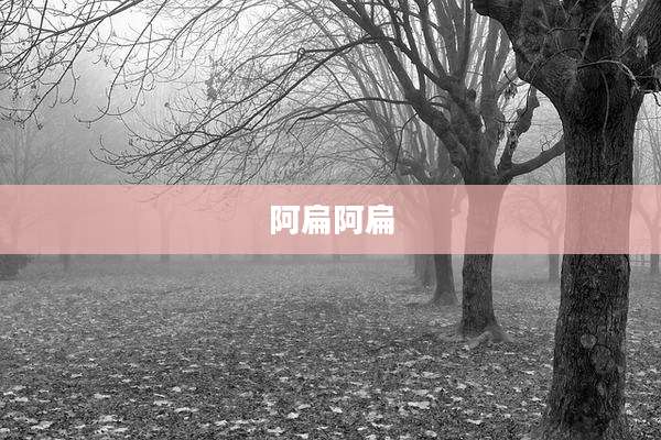 阿扁阿扁