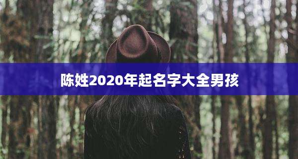 陈姓2020年起名字大全男孩