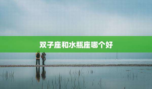 双子座和水瓶座哪个好