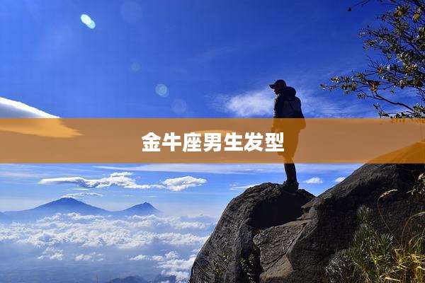 金牛座男生发型