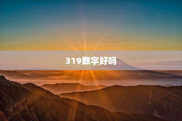 319数字好吗