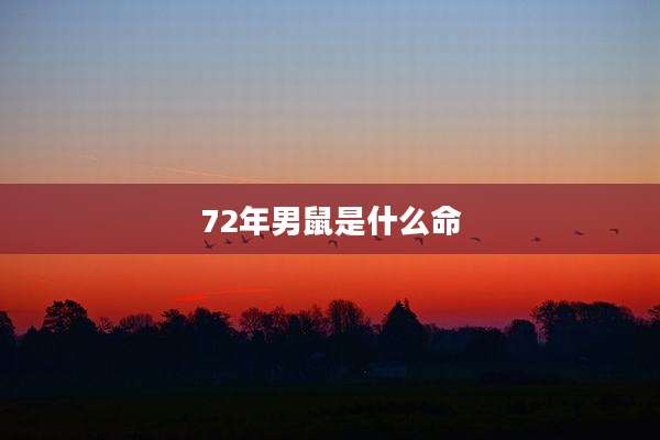 72年男鼠是什么命