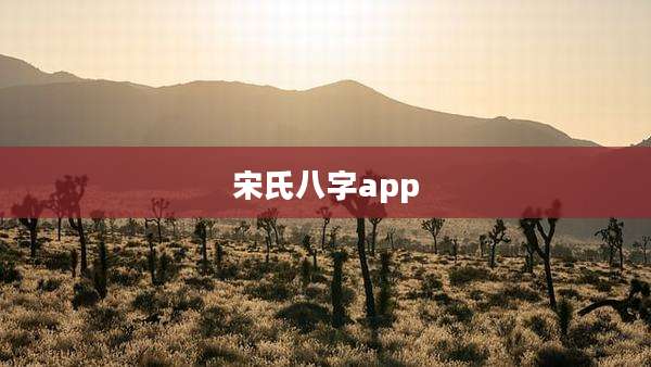 宋氏八字app
