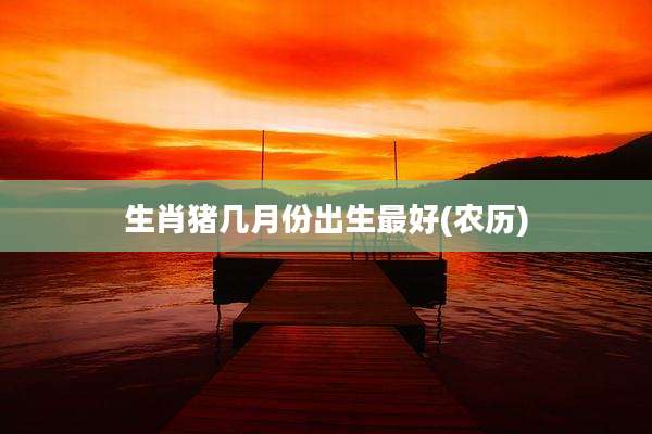 生肖猪几月份出生最好(农历)